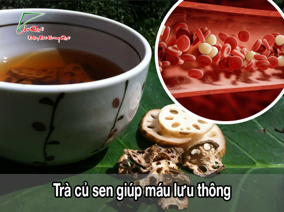 Trà củ sen - Vị thuốc quý